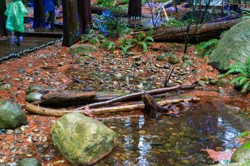 カナダ・バンクーバーの観光名所を旅行する風景Scenes from a trip to the sights of Vancouver, Canada.