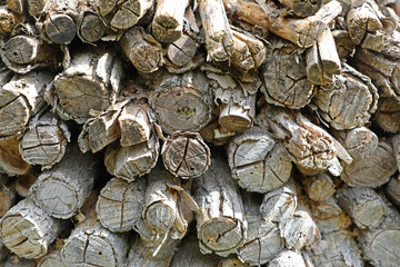 薪のテクスチャ