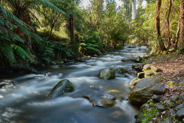 Long Exposure Photography at Badger Creek Weir