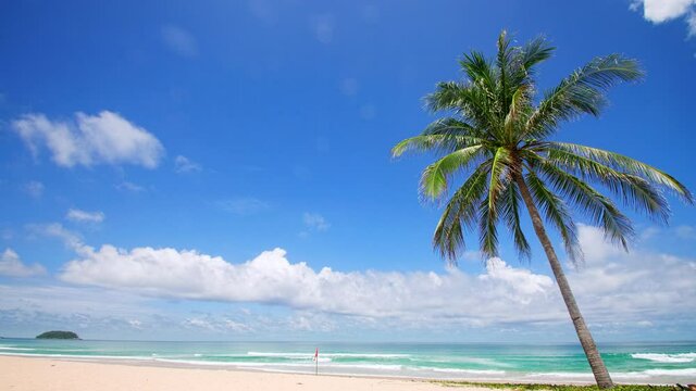 4K Holiday vacation summer concept. Coconut palm tree on the beach. Coconut palm tree on beautiful Tropical seashore scenic Phuket island Thailand famous tourist destination Andaman sea freedom beach