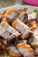 A dish of Cantonese stew, crispy roast pork close-up