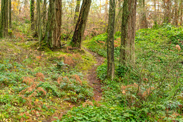 カナダのヴィクトリアの観光名所を旅行している風景 Scenes from a trip to the sights of Victoria, Canada. 