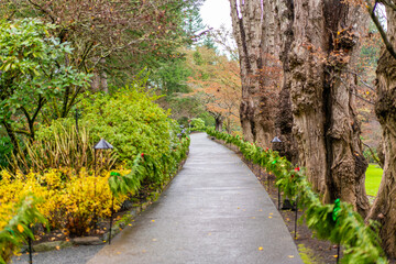 カナダのヴィクトリアの観光名所を旅行している風景 Scenes from a trip to the sights of Victoria, Canada. 