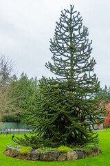 カナダのヴィクトリアの観光名所を旅行している風景 Scenes from a trip to the sights of Victoria, Canada. 