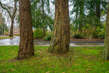 カナダのヴィクトリアの観光名所を旅行している風景 Scenes from a trip to the sights of Victoria, Canada. 