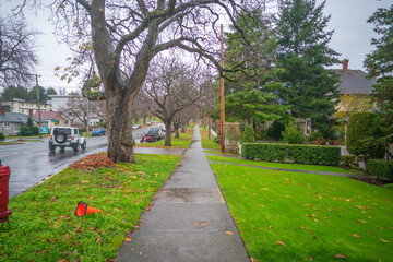 カナダのヴィクトリアの観光名所を旅行している風景 Scenes from a trip to the sights of Victoria, Canada. 