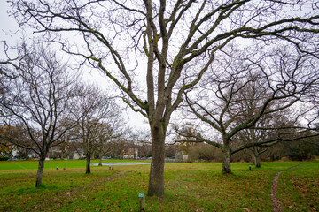 Obraz premium カナダのヴィクトリアの観光名所を旅行している風景 Scenes from a trip to the sights of Victoria, Canada. 