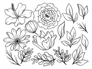 Hand drawn flower sketch line art illustration set.