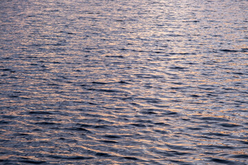 Gold water texture. Lot of waves on lake surface on sunset time..Natural summer background. Ripples, small, little wave.