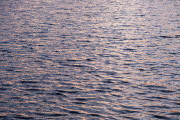 Gold water texture. Lot of waves on lake surface on sunset time..Natural summer background. Ripples, small, little wave.