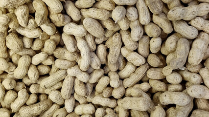 Peanuts are unpeeled. background and texture. agriculture.