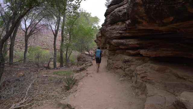 Back of Young Man Running on Hiking Trail in Grand Canyon National Park, Arizona USA, Full Frame Slow Motion