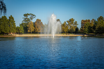 Dia de descanso en parque de la ciudad