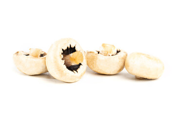close-up of meadow mushroms against white background