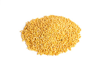 Heap of unprocessed millet seeds isolated on white background 