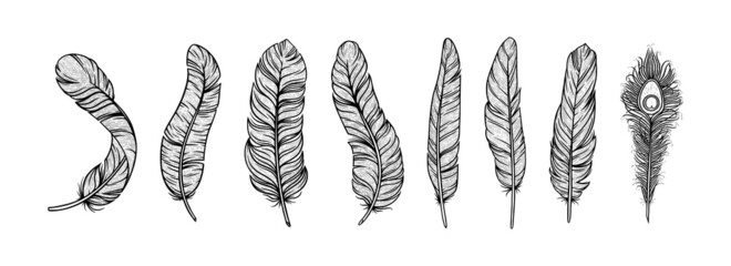 Feathers in ethnic style. Set of indian bird feathers with peackock one isolated in white background. Hand drawn vector illustration