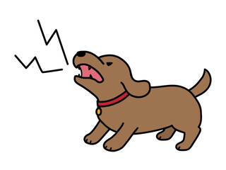 吠える犬。犬の躾。ダックスフント。