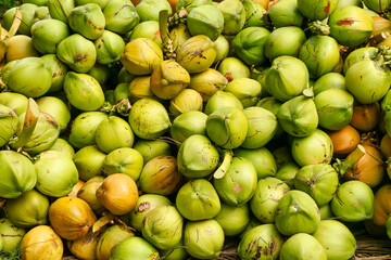 Overhead view of a large pile of freshly harvested coconuts in the Philippines, where copra production is an important industry.