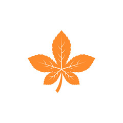 Autumn leaf fall icon design illustration template
