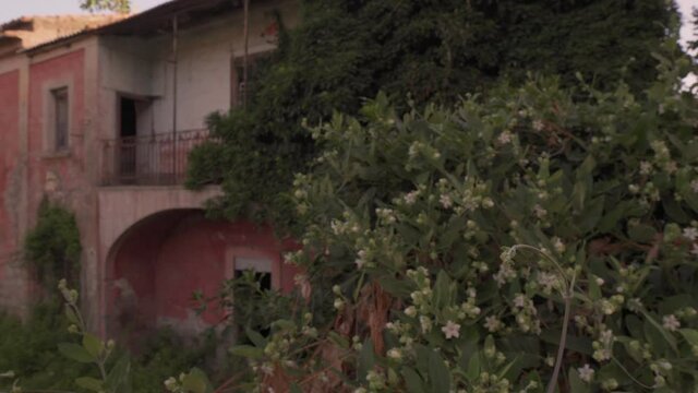 Abandoned italian house undergrowth in Santa Maria Capua Vetere.