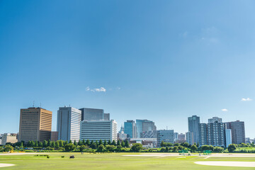 Obraz premium 多摩川緑地から見た川崎駅前のビル群【神奈川県・川崎市】 Urban scenery of Kawasaki city - Kanagawa, Japan