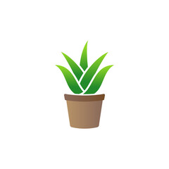Aloe vera plant icon design illustration template