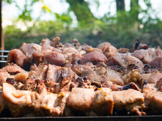 close-up of meat on skewers. shashlik