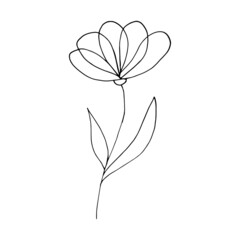 abstract flower icon. hand drawn doodle. vector, scandinavian, nordic, minimalism, monochrome. plant, herbarium.
