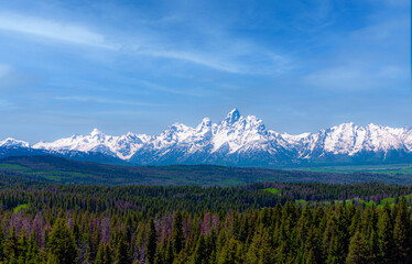Obraz premium Grand Teton mountain range in spring