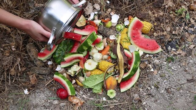 Domestic waste for compost from fruits and vegetables. Woman throws garbage.