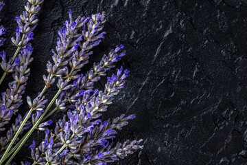 Lavender background with a bouquet of lavandula, shot from the top on a black background with copy...