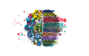Sketch brain  -  Watercolor stains colorful - Idea and Concept Vector illustration.