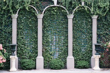 ivy covered wall