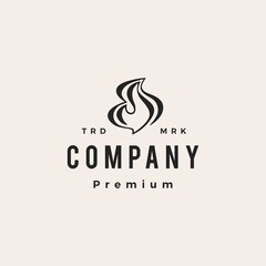 fire flame hipster vintage logo vector icon illustration