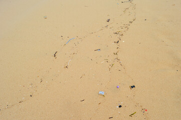 footprints in the sand