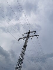 Hochspannungsleitung von Zugvögel besetzt