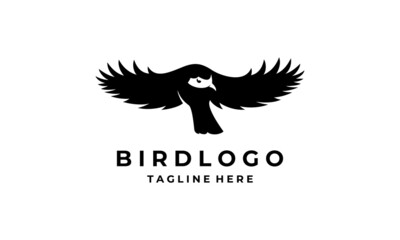 Obraz premium Eagle Bird Hawk Falcon Animal Logo Design Inspiration