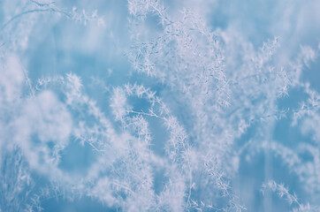 abstract blue background in a blur