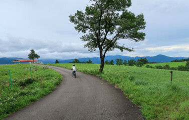 高原のサイクリングロードを走る自転車