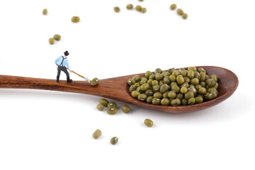 Farmer put mung beans into spoon on white background
