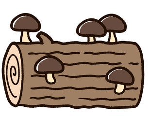 しいたけの栽培