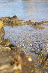rocks on the beach, crystal clear