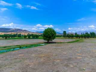 Fototapeta premium landscape with road and trees