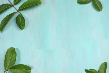 Natural light blue wood frame with leaves in the corners with space in the center for Text. Frame.
