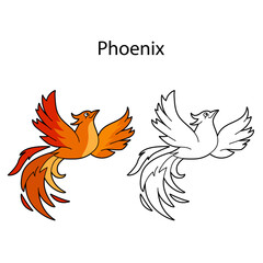 Funny cute bird phoenix isolated on white background. Linear, contour, black and white and colored version. Illustration can be used for coloring book, design template and pictures for children