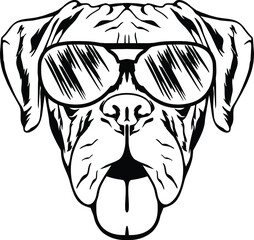 hand draw dog head with glasses