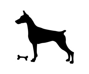 the silhouette of a doberman stands with a bone