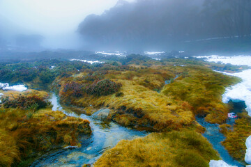 Obraz na płótnie Canvas Alpine streams cutting through a foggy landscape of grass and snow
