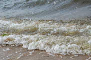 Sea waves rolling on the sandy shore.  Bubbling seawater with bu