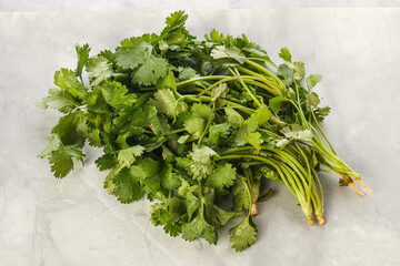 Fresh green Coriander leaves heap